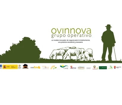 logo ovinnova