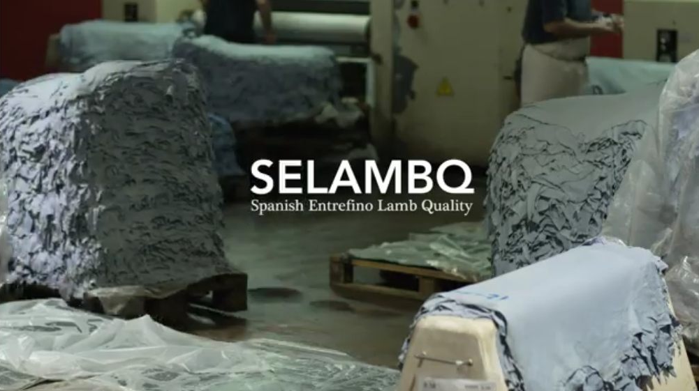 video background