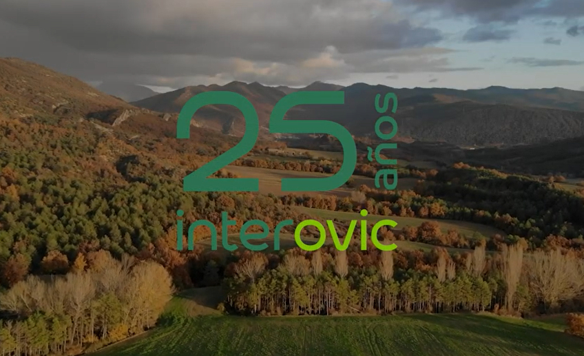 video background