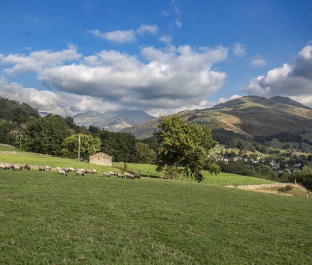250930_INTEROVIC_Valle del Pas_8826